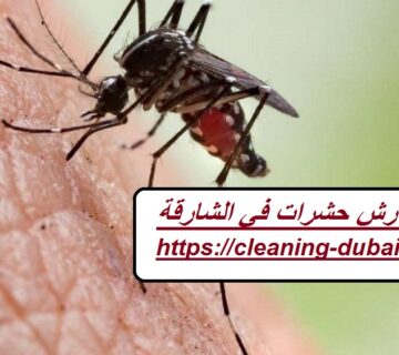 شركة رش حشرات في الشارقة