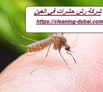 شركة رش حشرات في العين