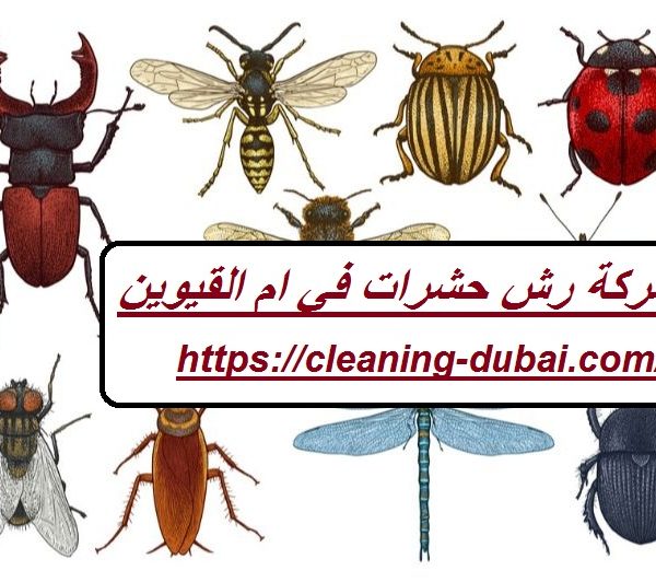 شركة رش حشرات في ام القيوين