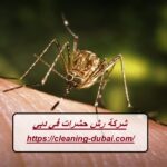 شركة رش حشرات في دبي