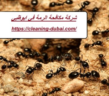 شركة مكافحة الرمة في ابوظبي