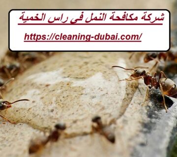 شركة مكافحة النمل في راس الخمية