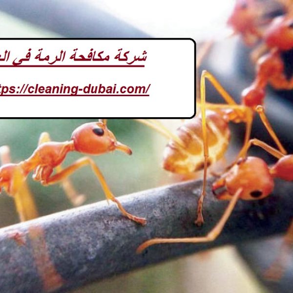 ‏شركة مكافحة الرمة في العين