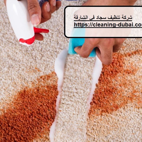 شركة تنظيف سجاد في الشارقة