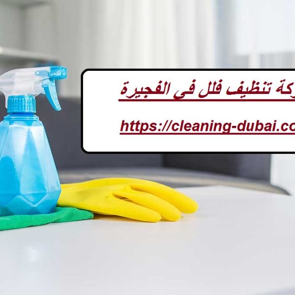 شركة تنظيف فلل في الفجيرة