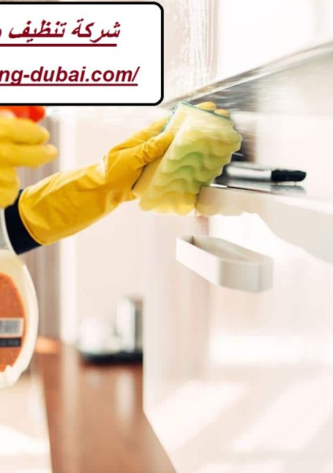 شركة تنظيف منازل في الفجيرة شركة تنظيف منازل في الفجيرة