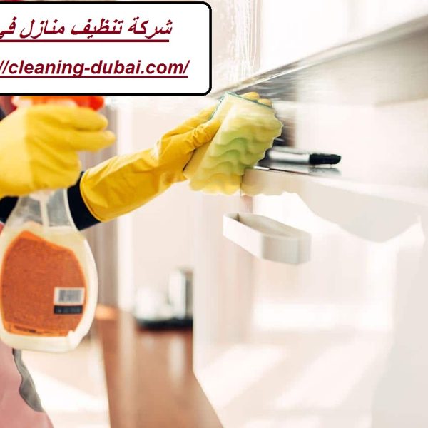 شركة تنظيف منازل في الفجيرة
