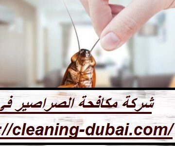 شركة مكافحة الصراصير في العين