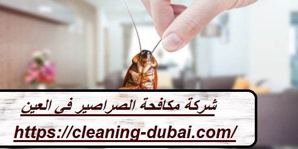 شركة مكافحة الصراصير في العين