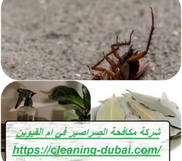 شركة مكافحة الصراصير في ام القيوين