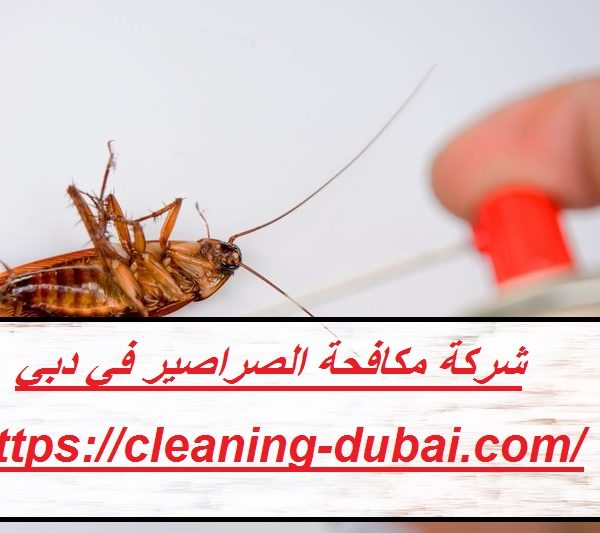 شركة مكافحة الصراصير في دبي