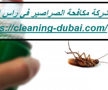 شركة مكافحة الصراصير في راس الخيمة