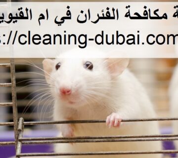 شركة مكافحة الفئران في ام القيوين
