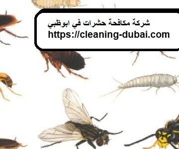 شركة مكافحة حشرات في ابوظبي