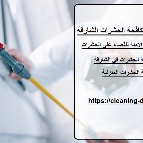 أفضل شركات مكافحة الحشرات الشارقة