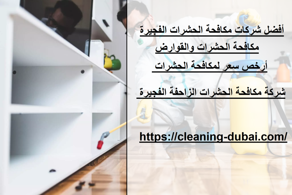 أفضل شركات مكافحة الحشرات الفجيرة
