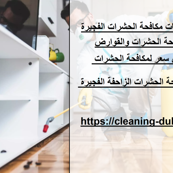 أفضل شركات مكافحة الحشرات الفجيرة