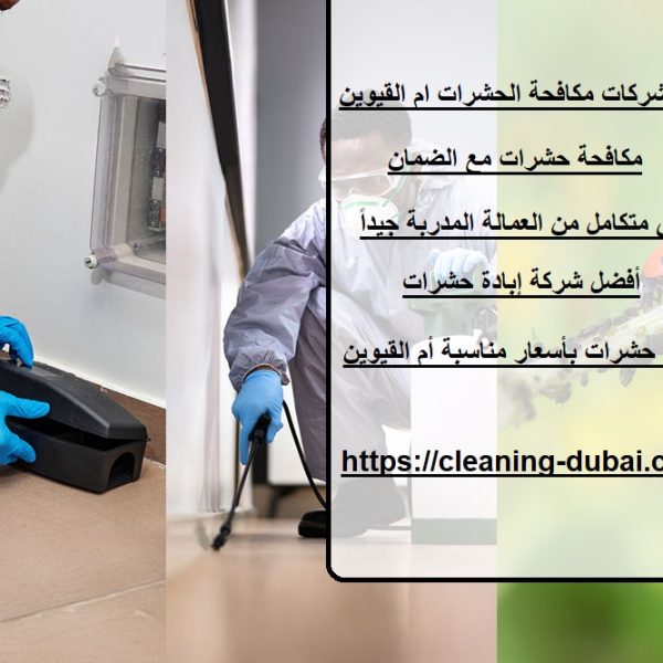 أفضل شركات مكافحة الحشرات ام القيوين