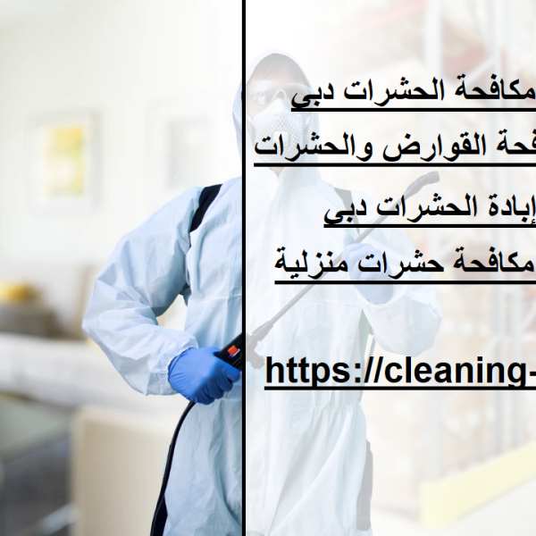 أفضل شركات مكافحة الحشرات دبي