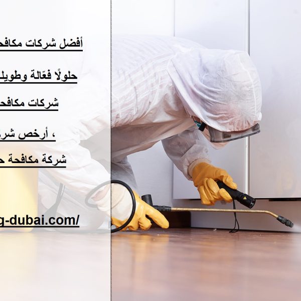 أفضل شركات مكافحة الحشرات راس الخيمة