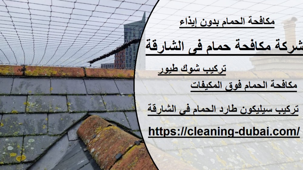 شركة مكافحة حمام فى الشارقة