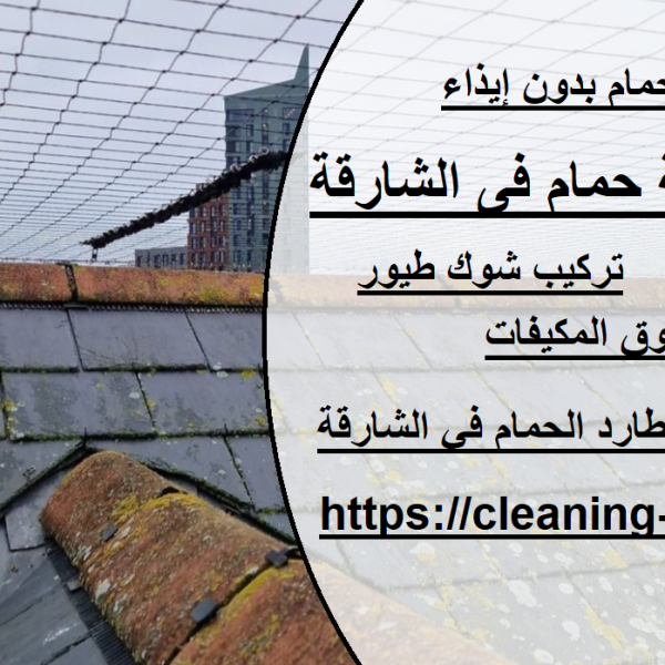 شركة مكافحة حمام فى الشارقة