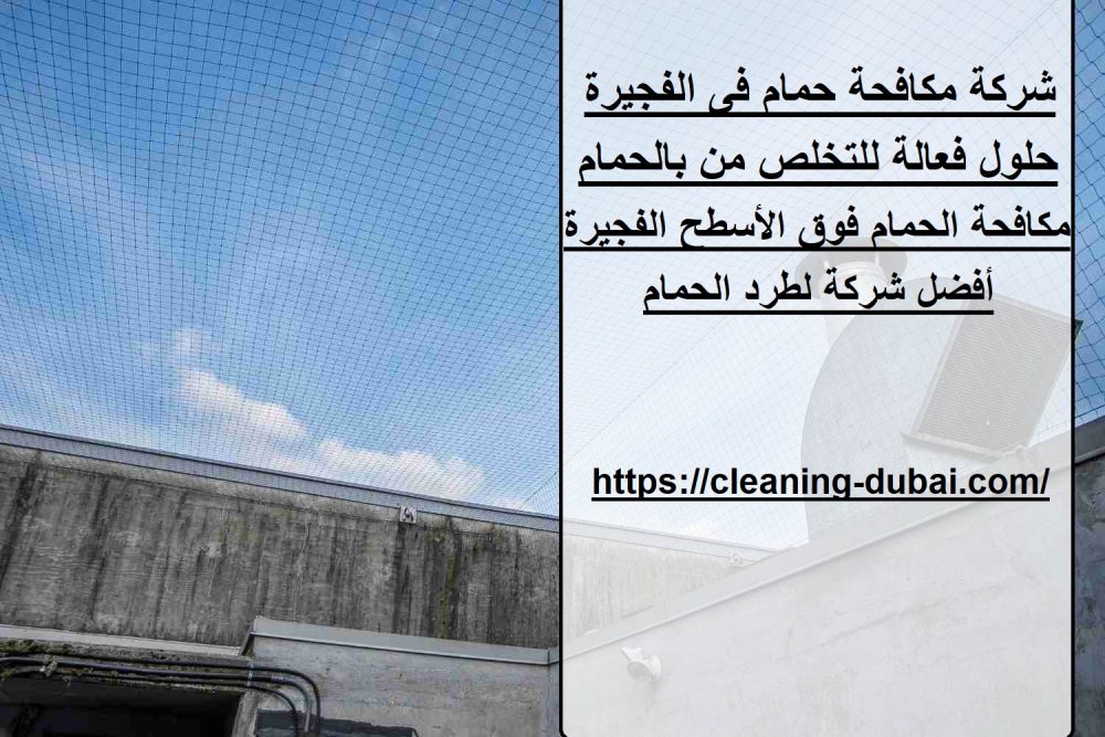 شركة مكافحة حمام فى الفجيرة