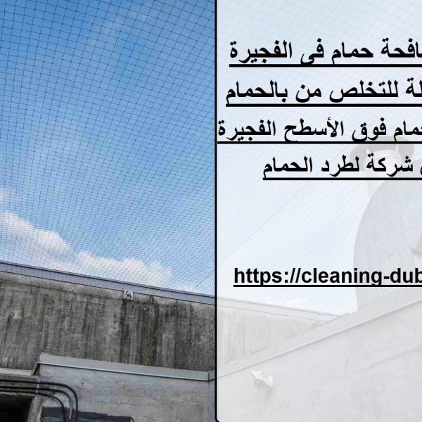 شركة مكافحة حمام فى الفجيرة