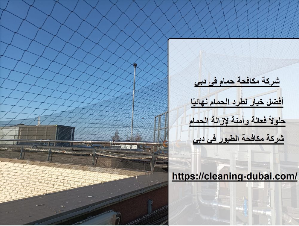 شركة مكافحة حمام فى دبي