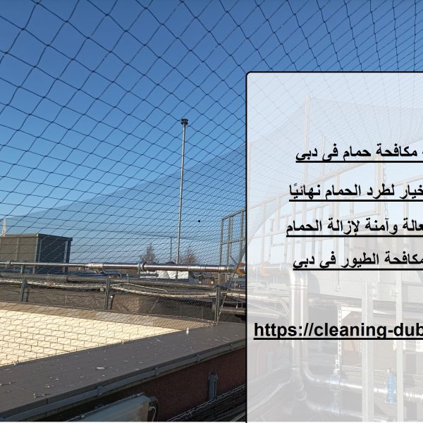 شركة مكافحة حمام فى دبي