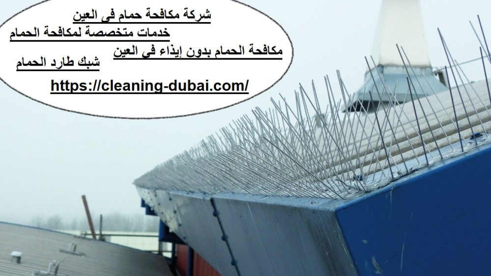 شركة مكافحة حمام فى عجمان