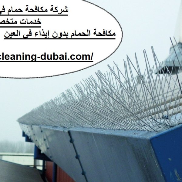 شركة مكافحة حمام فى عجمان